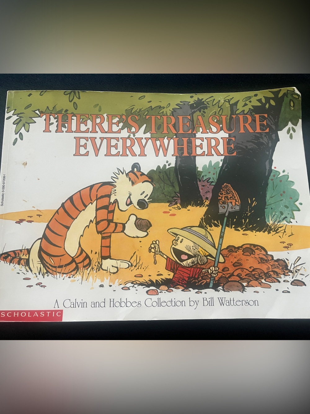 Calvin And Hobbes Collection by  Bill Watterson Comic Book